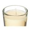 Set di Candele Profumate Acorde 48-C-AR Vaniglia Bicchiere (12 Unità)
