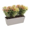 Vaso Elho Antracite Grigio scuro polipropilene Plastica Rettangolare Moderno 50 cm