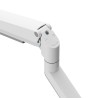 Supporto da Tavolo per Schermo Neomounts DS70-250WH1 17" 35"