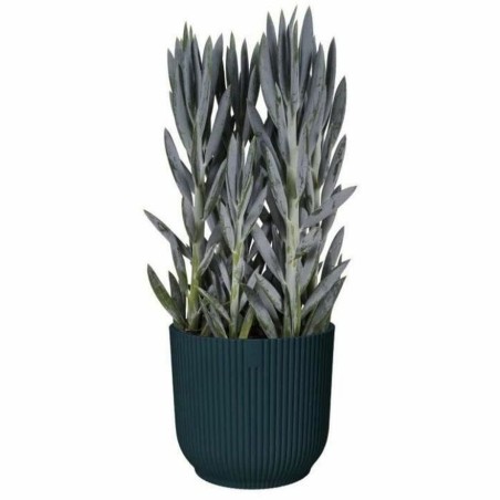 Vaso Elho   Plastica Rotonda Ø 28,5 cm