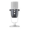 Microfono AKG AKG ARA - Azzurro Argentato