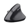 Mouse Trust Nero Grigio 2400 dpi