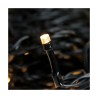Tenda Luminosa LED Luce calda Bianco Caldo 2 m Nero