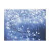 Ghirlanda di Luci LED Trasparente 1,5 m