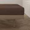 Lenzuolo con angoli aderenti Happy Home Mix Colors Marrone Singolo