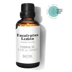 Deodorante per Ambienti Daffoil DAFFOIL EUCALIPTO 100 ml