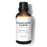 Deodorante per Ambienti Daffoil DAFFOIL EUCALIPTO 100 ml