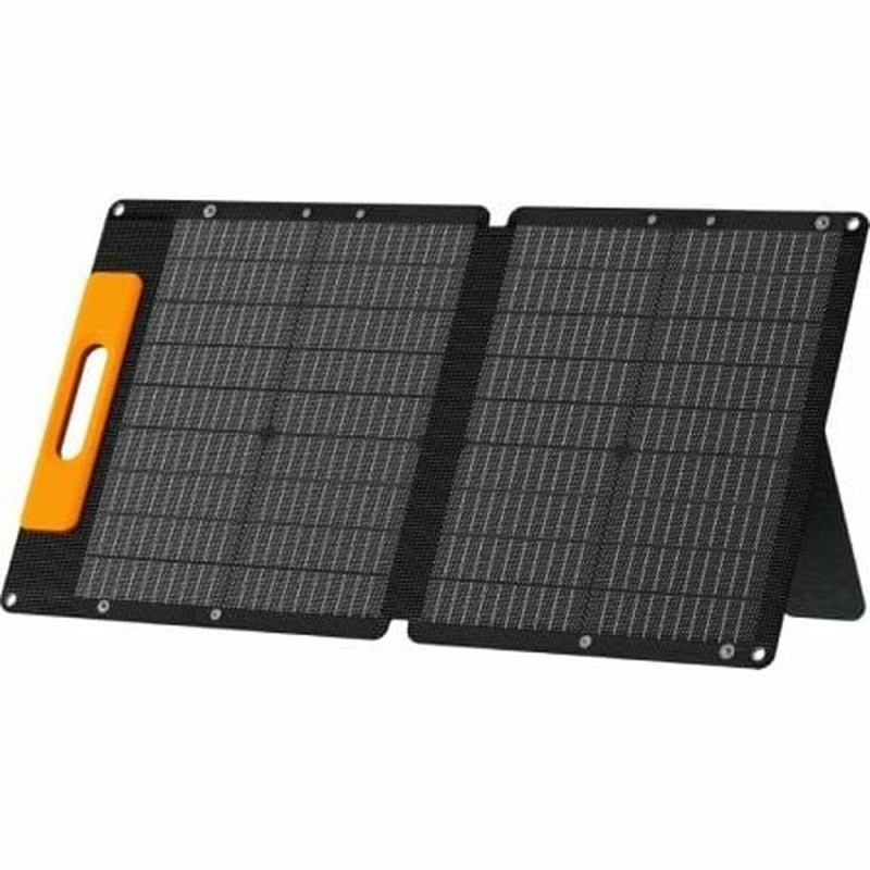 Caricabatterie da Parete Wonder WS60
