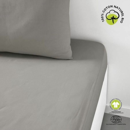 Lenzuolo con angoli aderenti TODAY Beige 180 x 200 cm