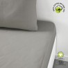 Lenzuolo con angoli aderenti TODAY Beige 180 x 200 cm
