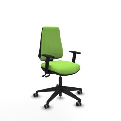 Sedia da Ufficio Piqueras y Crespo B1D066G Pistacchio