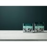 Detersivo liquido Electrolux M2GCP121