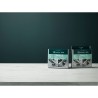 Detersivo liquido Electrolux M2GCP121