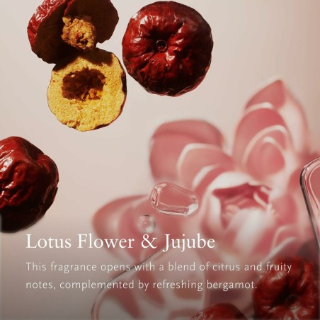 Deodorante per Ambienti Rituals THE RITUAL OF JING 500 ml