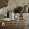 Deodorante per Ambienti Rituals THE RITUAL OF JING 500 ml