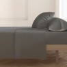 Lenzuolo Superiore Hosteline Mixcolors Singolo