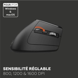 Mouse Mobility Lab