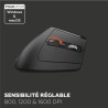 Mouse Mobility Lab