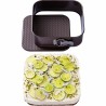 Stampo Removibile Pyrex Marrone Acciaio inossidabile