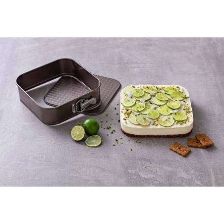 Stampo Removibile Pyrex Marrone Acciaio inossidabile