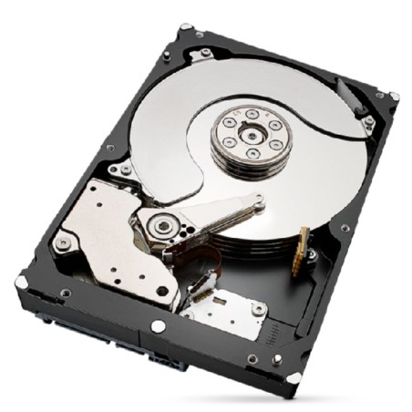 Hard Disk Seagate ST4000NT001 3,5" 4 TB HDD
