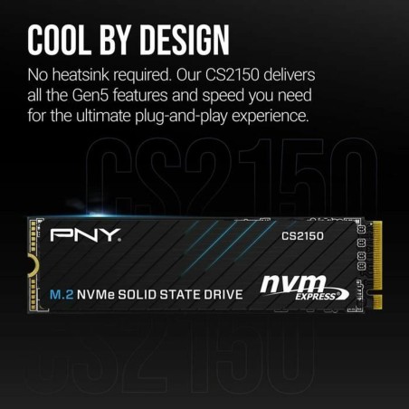 Hard Disk PNY CS2150