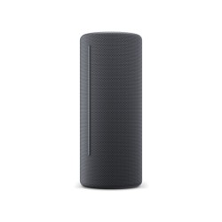 Altoparlante Bluetooth Loewe Grigio