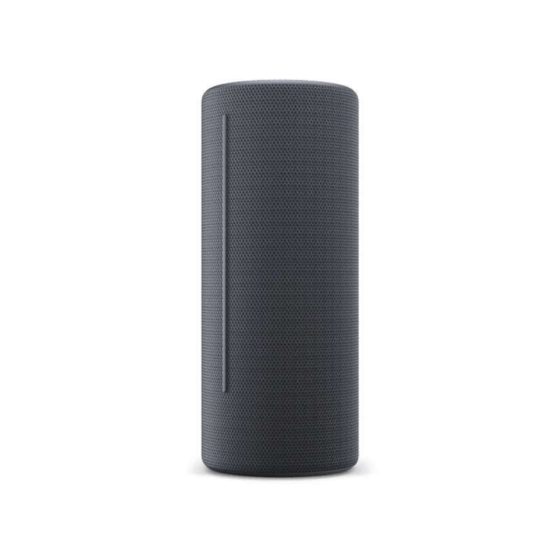 Altoparlante Bluetooth Loewe Grigio