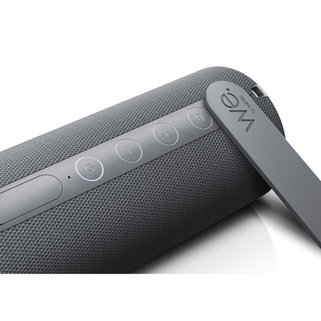 Altoparlante Bluetooth Loewe Grigio