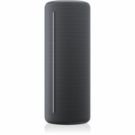 Altoparlante Bluetooth Loewe Grigio