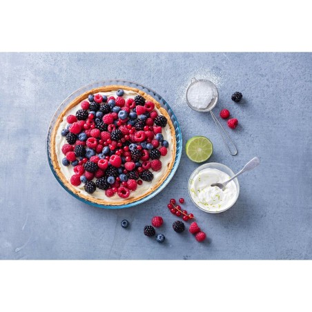 Stampo per Torte Pyrex Multicolore Trasparente