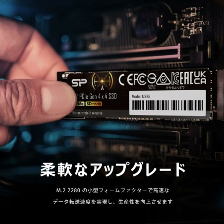 Hard Disk Silicon Power SP02KGBP44US7505 2 TB SSD