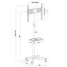 Supporto TV da terra con ruote MacLean MC-949 32" 34"-55"