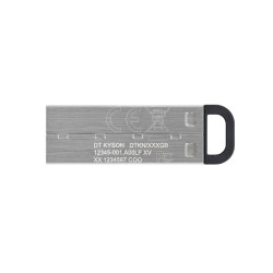 Memoria USB Kingston DataTraveler Kyson Argentato 512 GB