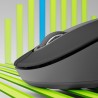 Mouse senza Fili Logitech Grafite Acciaio 4000 dpi