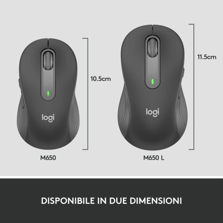 Mouse senza Fili Logitech Grafite Acciaio 4000 dpi
