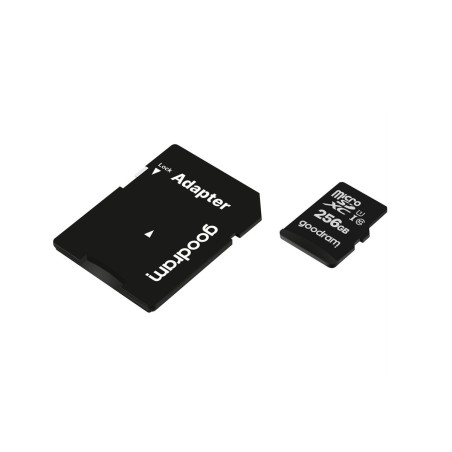 Scheda Micro SD GoodRam M1AA-2560R12 256 GB