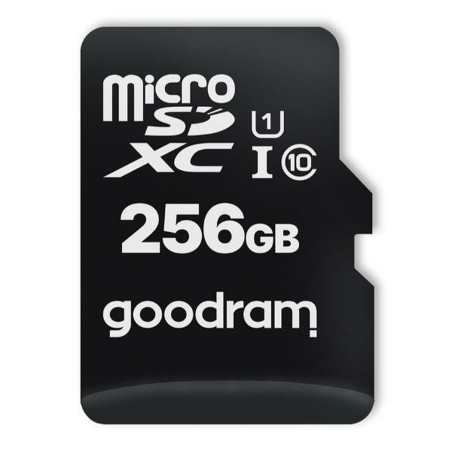 Scheda Micro SD GoodRam M1AA-2560R12 256 GB