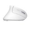 Mouse Trust Verto Vertical Bianco Rosso Monocromatica