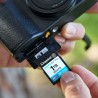 Scheda Di Memoria Micro SD con Adattatore Kingston SDG4/64GB 64 GB