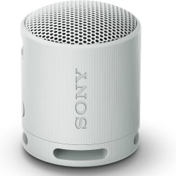 Altoparlante Bluetooth Portatile Sony XB100 Grigio