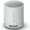 Altoparlante Bluetooth Portatile Sony XB100 Grigio