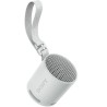 Altoparlante Bluetooth Portatile Sony XB100 Grigio