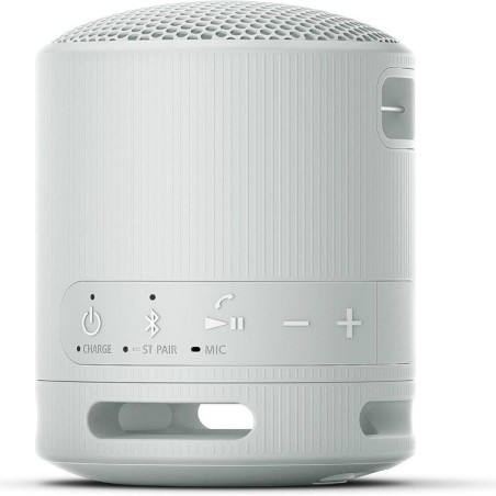 Altoparlante Bluetooth Portatile Sony XB100 Grigio
