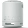 Altoparlante Bluetooth Portatile Sony XB100 Grigio
