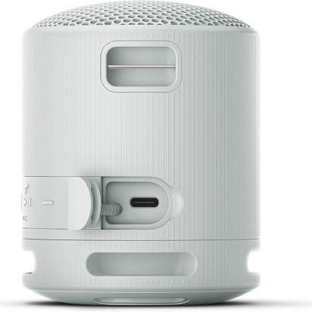 Altoparlante Bluetooth Portatile Sony XB100 Grigio