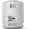 Altoparlante Bluetooth Portatile Sony XB100 Grigio