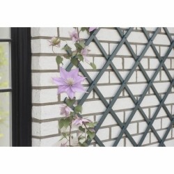Recinzione da Giardino Nature NATURE Antracite Plastica