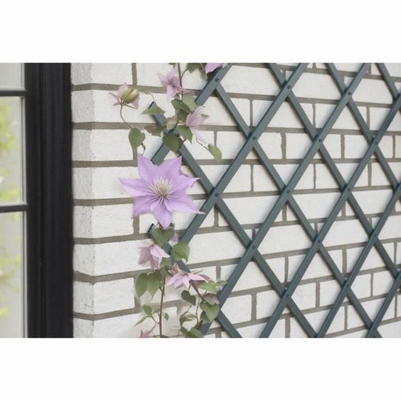 Recinzione da Giardino Nature NATURE Antracite Plastica