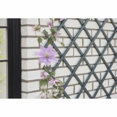 Recinzione da Giardino Nature NATURE Antracite Plastica